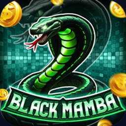 Black Mamba logo